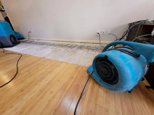 Reliable Water Extraction contractor in Evansville, IL by Hirex Water Damage