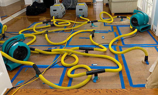Professional Water Extraction technician working in Evansville, IL